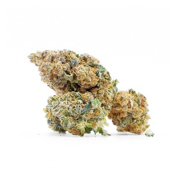 Fleur CBG Orange bud details